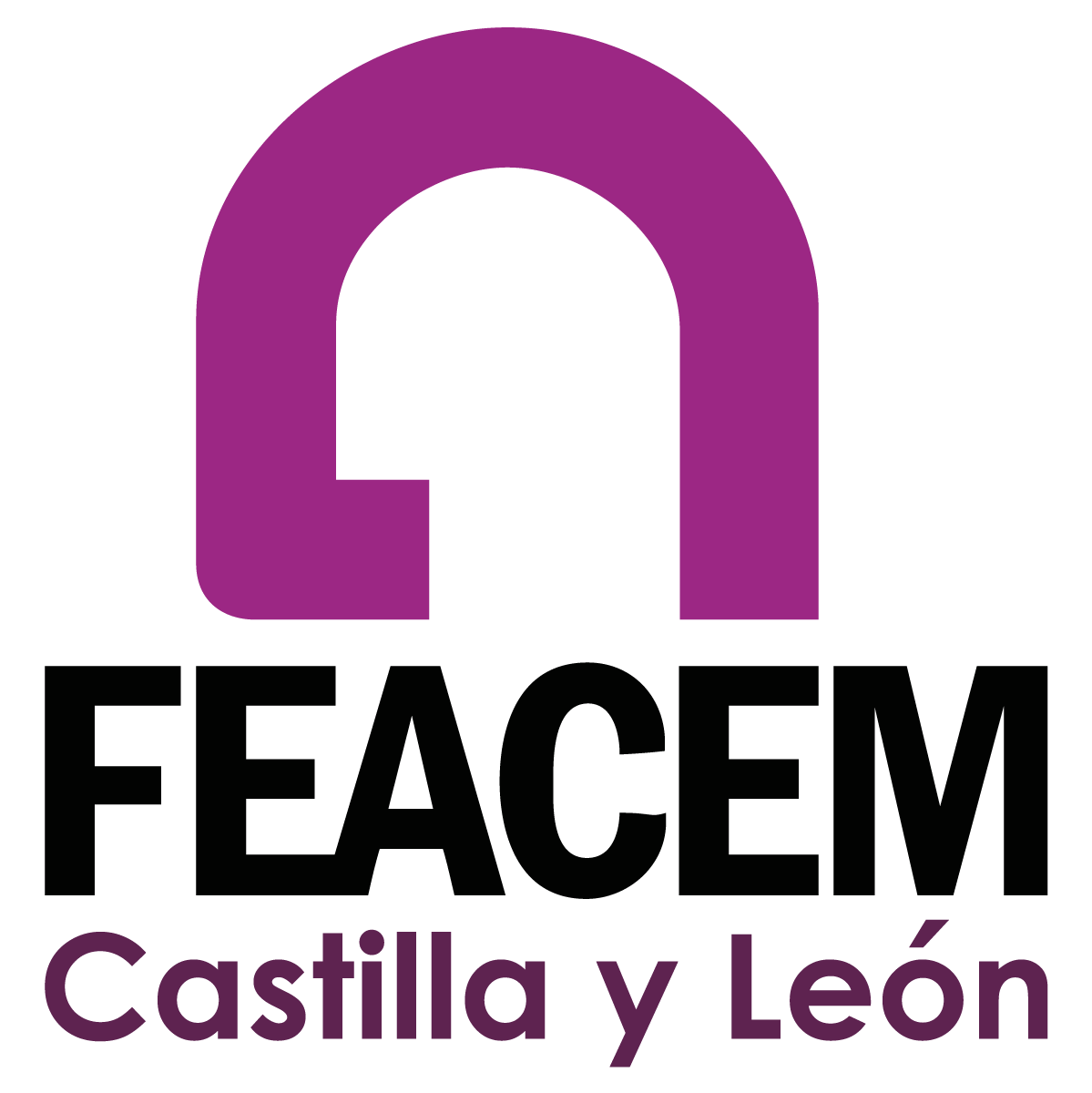 Feacem Castilla y León